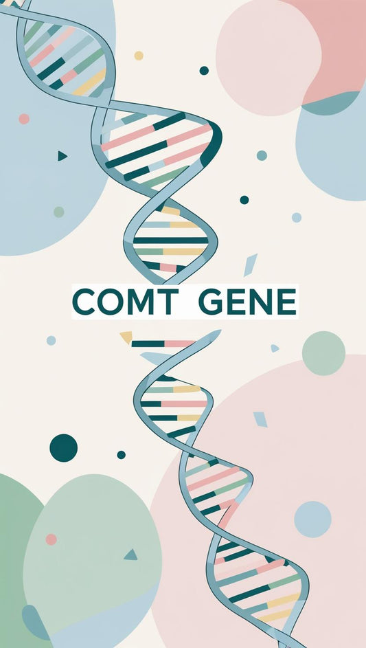 The COMT Gene: Your Brain’s Dopamine Regulator and Stress Thermostat