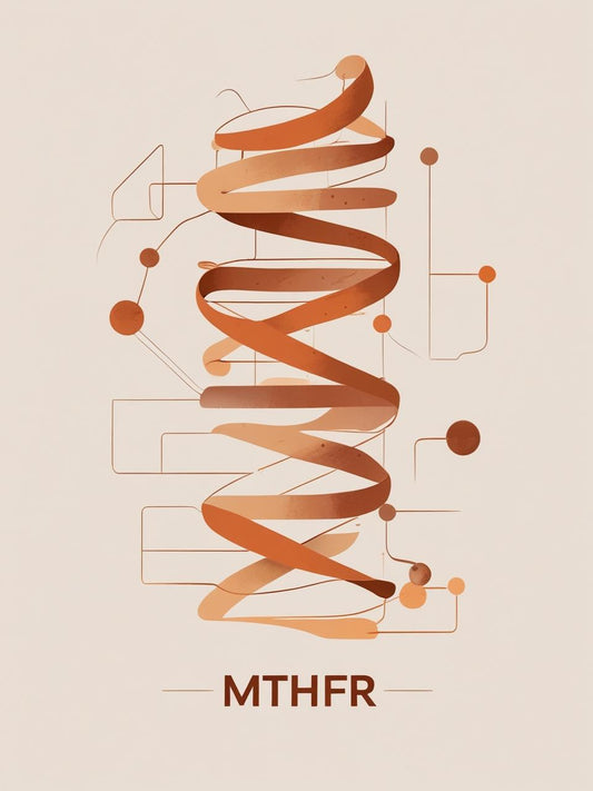 Understanding the MTHFR gene: why it matters for your health