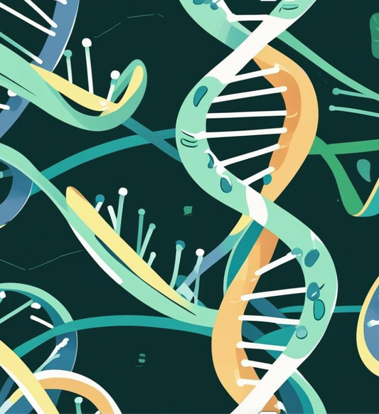 DNA, Genes, and Chromosomes: The Blueprint of Your Body (and Why Epigenetics Matters More Than Ever)