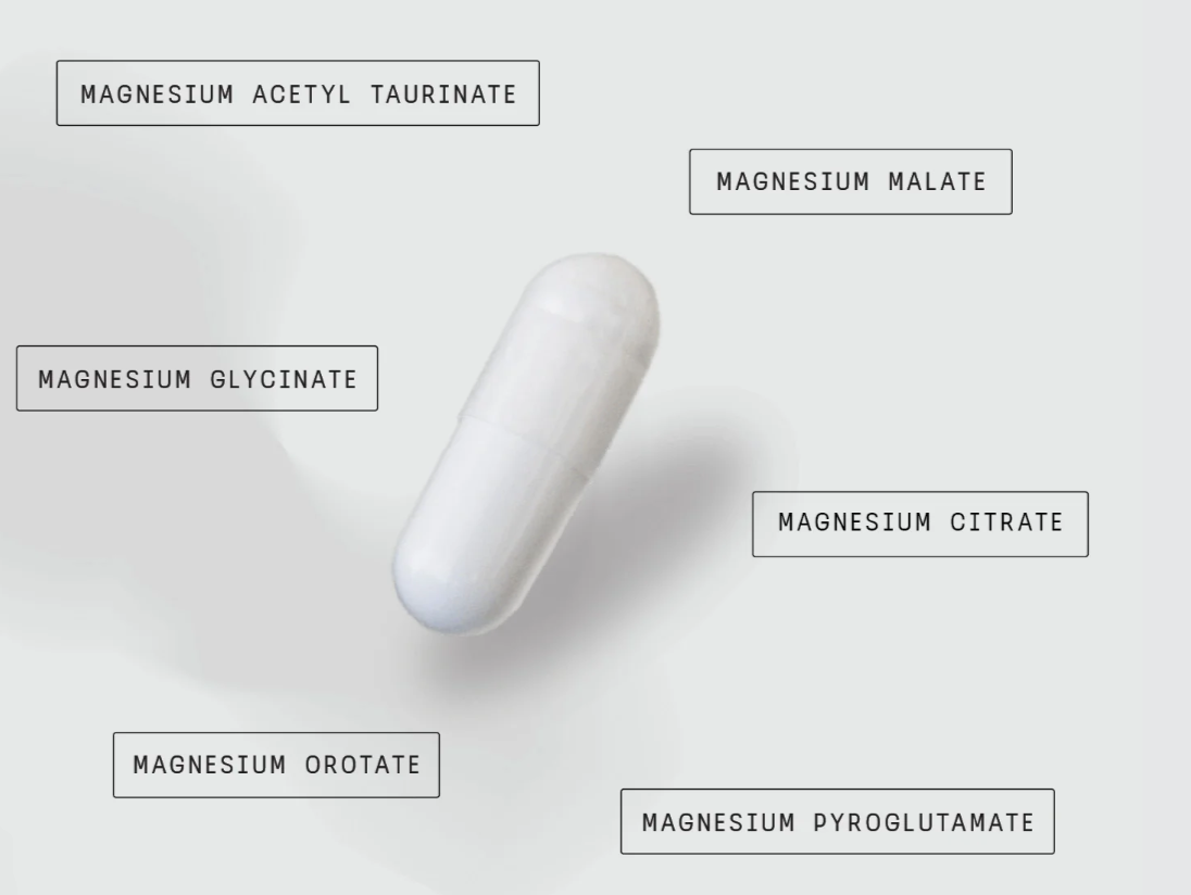 Switch Nutrition Multi-Mag Perfrom 120caps