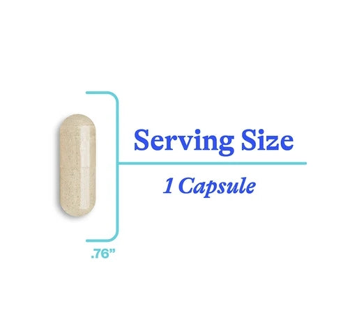 Seeking Health Phosphatidyl Serine