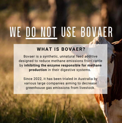 Men’s Innate Energy Beef Organ Multi